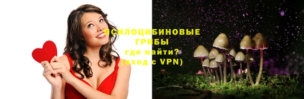 первитин Нея