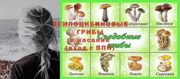первитин Нея