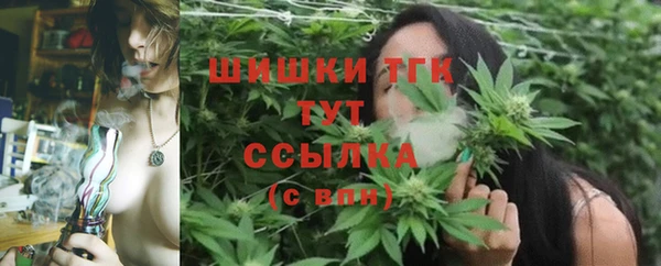 первитин Нея
