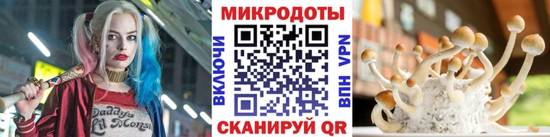Галлюциногенные грибы Psilocybe  Купить  Ставрополь 